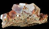 Vanadinite Cluster (Extra Large Crystals) - Morocco #42182-2